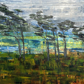 Rosemary Eagles nz abstract landscape art